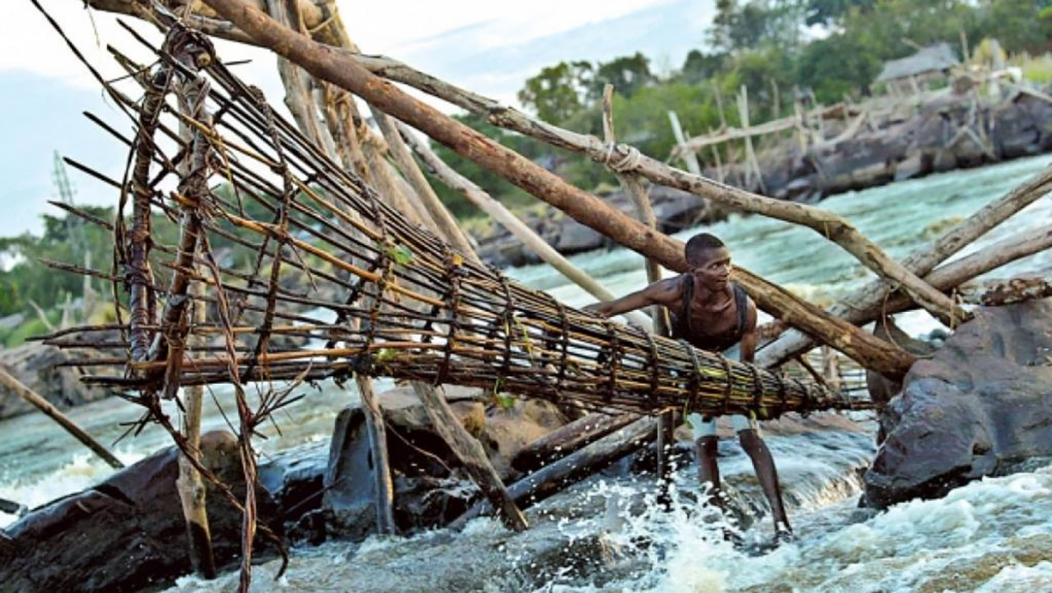 Pêche et élevage